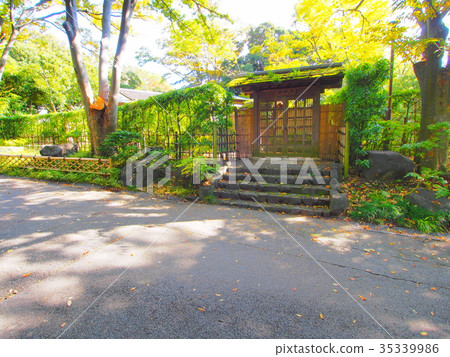 千葉公園好陽光 千葉公園好陽光 35339986