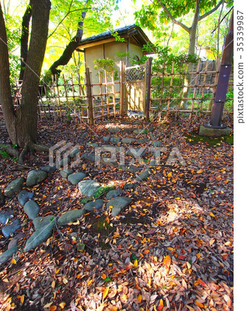 千葉公園好陽光 千葉公園好陽光 35339987