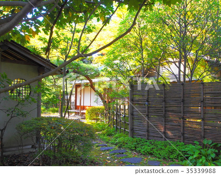 Chiba Park Good Sunshine 35339988