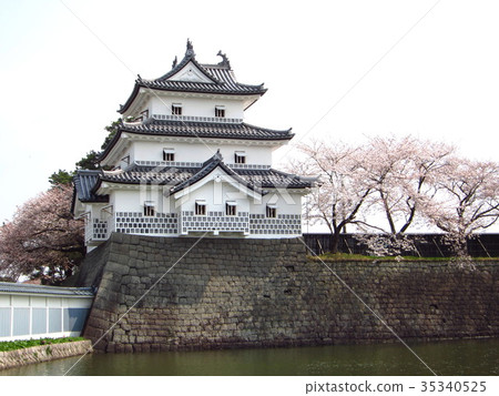 Spring of Shibata castle 35340525