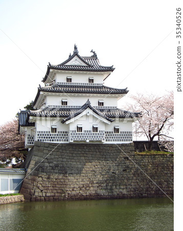 Shibata城堡的春天 Shibata城堡的春天 35340526