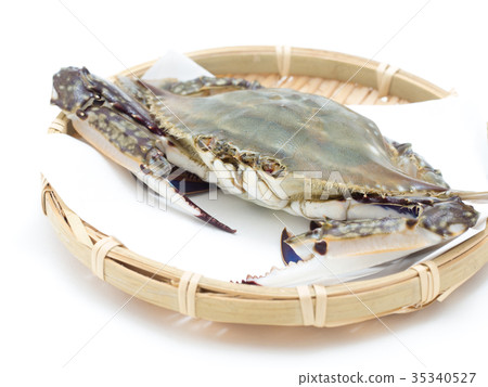 Gazami crab 35340527