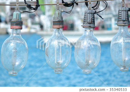 Squid fishing boat / lamp Squid fishing boat / lamp 35340533