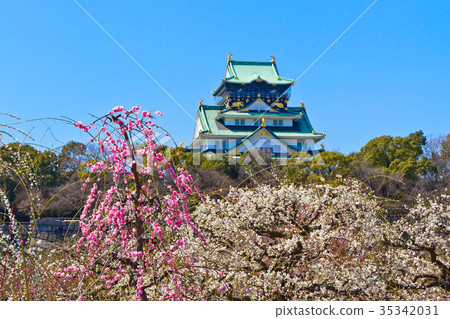 Osaka Castle and Bairin 35342031