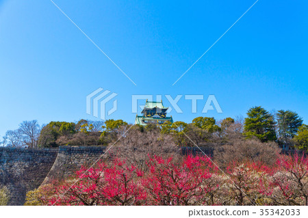 Osaka Castle and Bairin 35342033