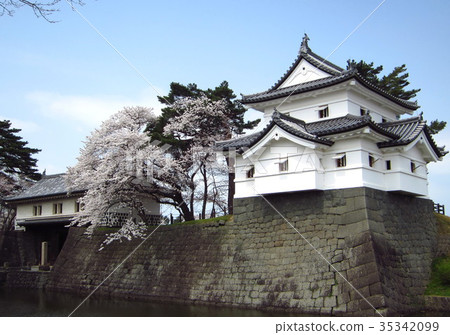 Spring of Shibata castle 35342099