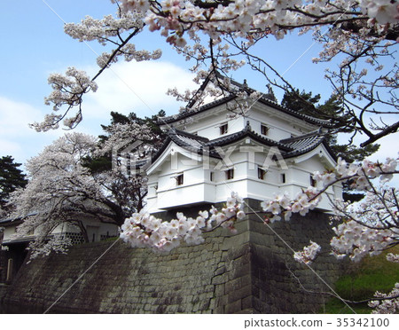Shibata城堡的春天 Shibata城堡的春天 35342100