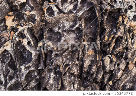 Patterns and textures of the old volcanic rock Patterns and textures of the old volcanic rock 35343778