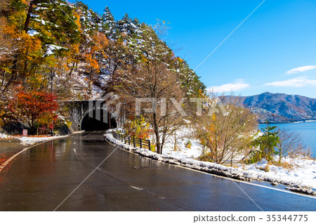 Autumn yellow and red maple leaves Autumn yellow and red maple leaves 35344775