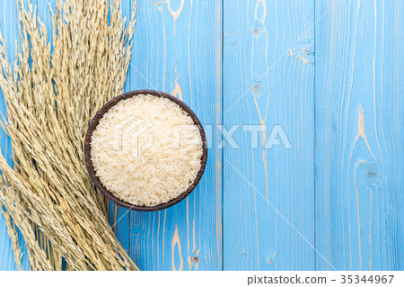 Dried paddy rice crop and jasmine rice in bowl on blue wooden board. With free space for text or design Dried paddy rice crop and jasmine rice in bowl on blue wooden board. With free space for text or design 35344967