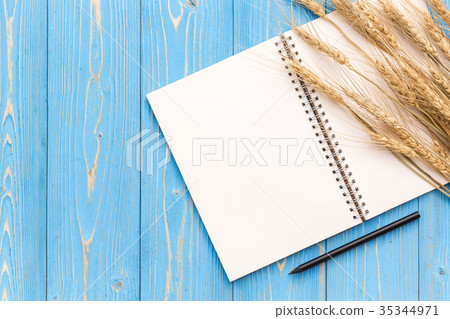 Dried wheat crop and blank of book for text or design on blue wooden board Dried wheat crop and blank of book for text or design on blue wooden board 35344971