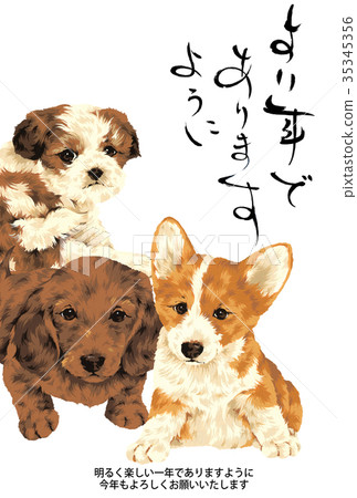 Dog new year's card Dog new year's card 35345356