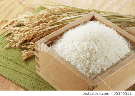 Rice and rice fields put in a bowl 35345531