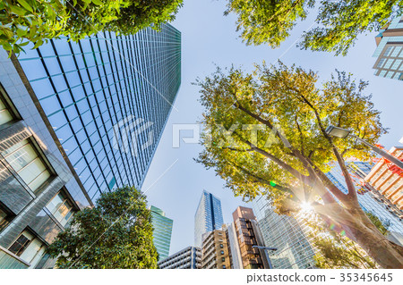 城市建設集團 城市建設集團 35345645