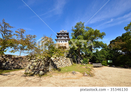 Sumoto Castle Ruins 35346130