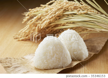飯糰（銀筷子）和稻田 35346153