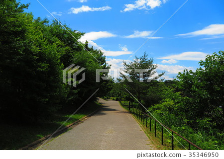 晴朗的天空公園4的風景 35346950