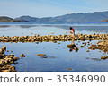 A lady collecting shellfish at a lagoon, Nha Trang 35346990