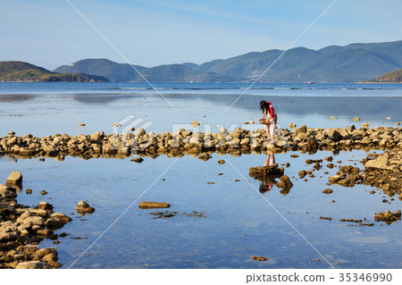 A lady collecting shellfish at a lagoon, Nha Trang A lady collecting shellfish at a lagoon, Nha Trang 35346990