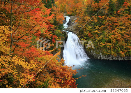 Autumnal Leg Falls Autumnal Leg Falls 35347065
