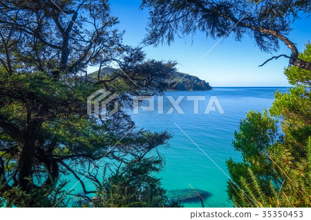 Track view, Abel Tasman National Park, New Zealand 35350453