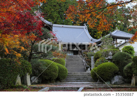 晚秋Kushina寺 晚秋Kushina寺 35350887