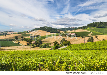 Hills and vineyards of Piedmont, Italy 35351436