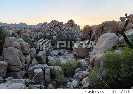 The Hidden Vally Area in Johua Tree National Park The Hidden Vally Area in Johua Tree National Park 35352138