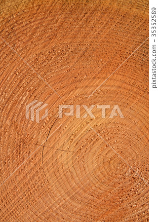 日誌的橫截面 35352589