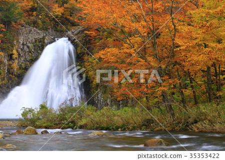 秋季腿落 秋季腿落 35353422