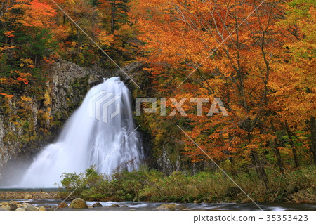 秋季腿落 35353423