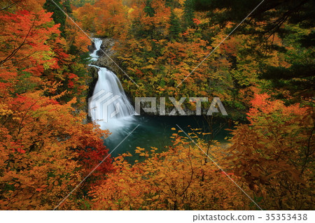 Autumnal Leg Falls 35353438