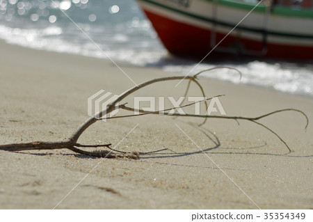 一根樹枝在水面上 35354349