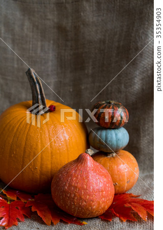 Close up various pumkins and red leaves 35354903