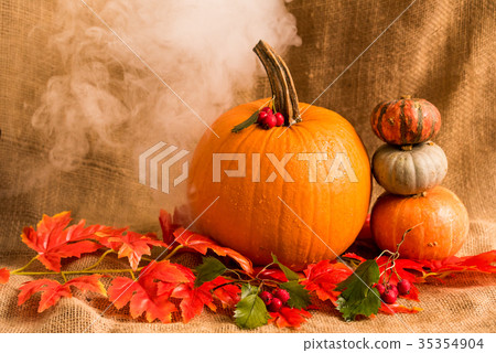 Close up various pumkins and red leaves Close up various pumkins and red leaves 35354904