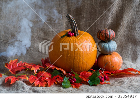 Close up various pumkins and red leaves Close up various pumkins and red leaves 35354917