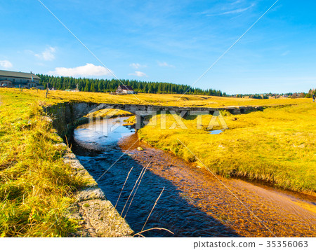 Jizerka stream on green meadow with old small 35356063