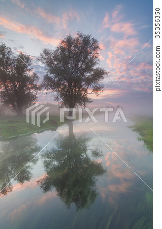 Beautiful misty dawn in the spring on the river Beautiful misty dawn in the spring on the river 35356350