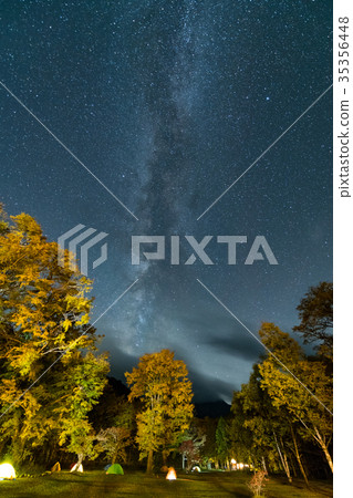 Milky Way and autumn leaves in Kamikochi 35356448