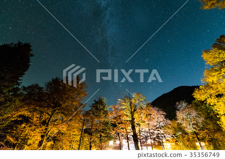 Milky Way and autumn leaves in Kamikochi 35356749