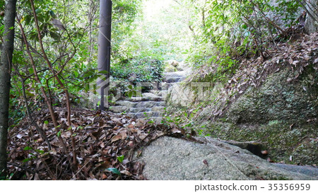 Mountain road 35356959