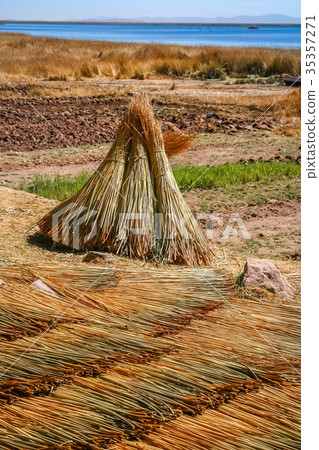 Hay stack at harvest Hay stack at harvest 35357271