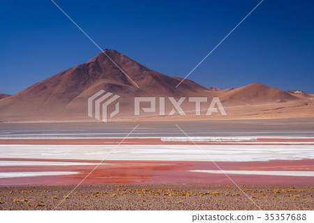 Red waters of Laguna Colorada 35357688