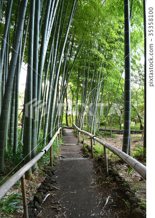 Eisho-ji (Kamakura) Eisho-ji (Kamakura) 35358100