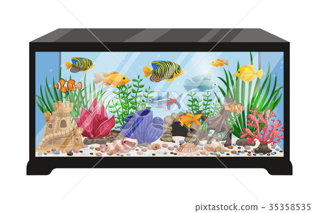 Aquarium Tank Cartoon Illustration