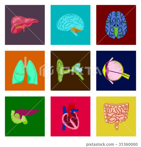 assembly of flat shading style icon human organs - Stock Illustration ...