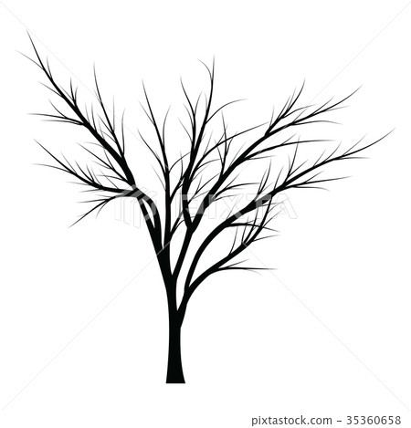 Trees with dead branches 35360658