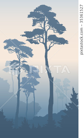 Vertical illustration of forest with tall pines. Vertical illustration of forest with tall pines. 35361527
