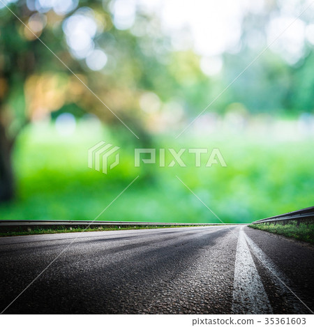Green forest road background Green forest road background 35361603