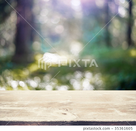 Blur summer forest bokeh Blur summer forest bokeh 35361605